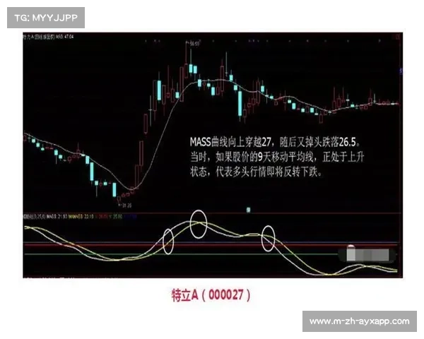 森梅兹领先优势被逆转 黑马之路止步32强未能突破瓶颈 森梅兹领先优势被逆转 黑马之路止步32强未能突破瓶颈